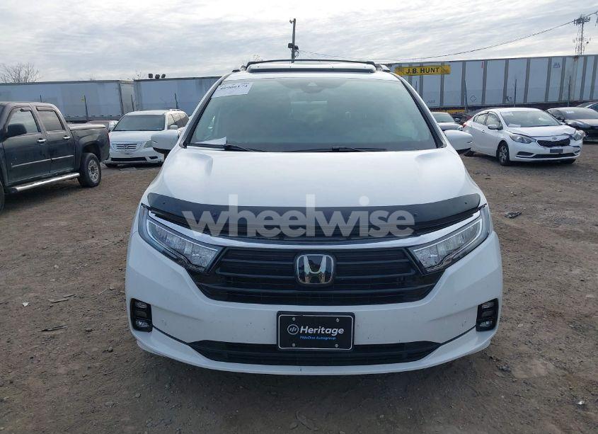 Photo 11 of 2024 Honda Odyssey ELITE (VIN 5FNRL6H93RB000285)