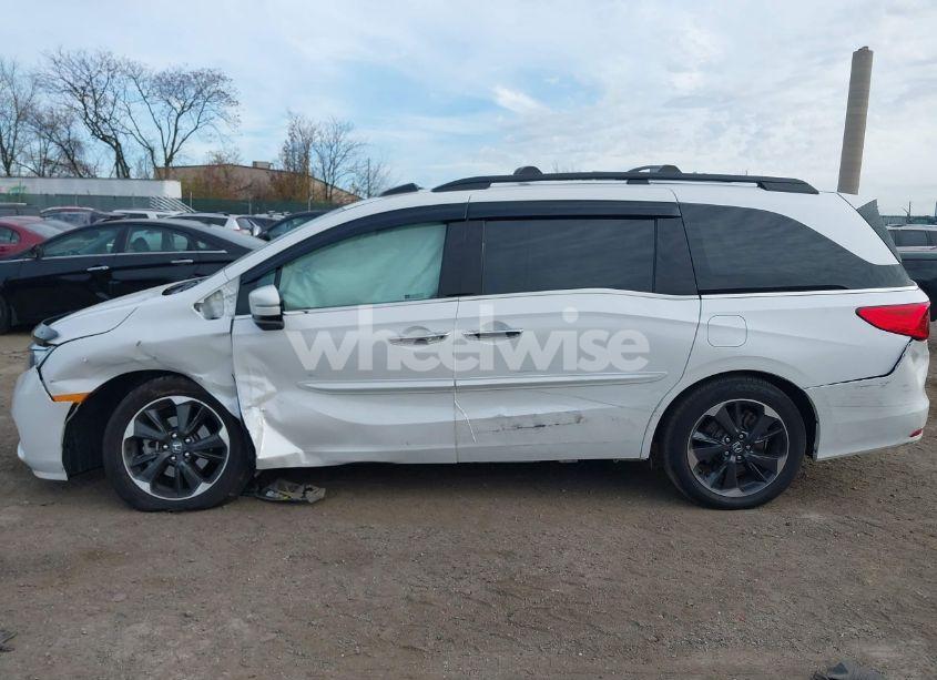 Photo 13 of 2024 Honda Odyssey ELITE (VIN 5FNRL6H93RB000285)