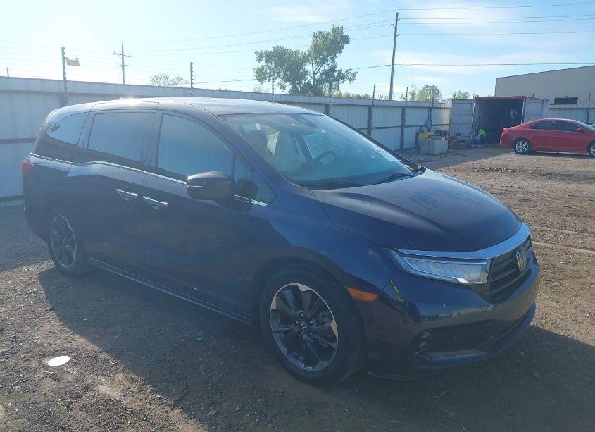 2022 Honda Odyssey ELITE (VIN 5FNRL6H95NB011881) main photo