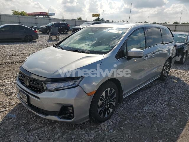 2025 HONDA ODYSSEY ELITE (VIN 5FNRL6H95SB020401) main photo