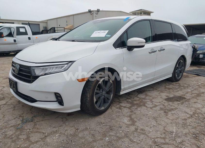 Photo 2 of 2022 Honda Odyssey ELITE (VIN 5FNRL6H96NB039950)