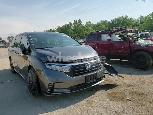 2024 HONDA ODYSSEY ELITE (VIN 5FNRL6H97RB004761) main photo