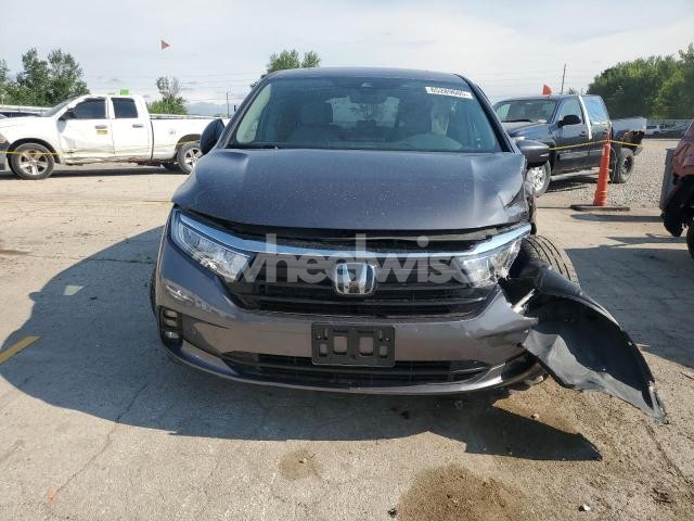 Photo 10 of 2024 HONDA ODYSSEY ELITE (VIN 5FNRL6H97RB004761)