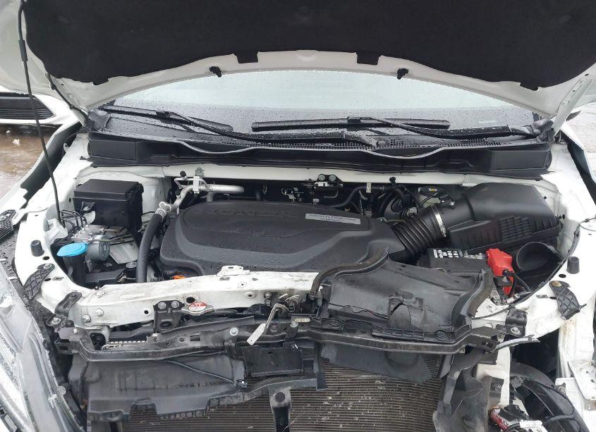 Photo 10 of 2019 Honda Odyssey ELITE (VIN 5FNRL6H98KB038472)