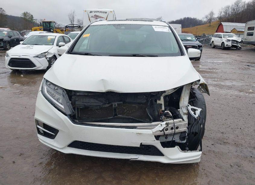 Photo 12 of 2019 Honda Odyssey ELITE (VIN 5FNRL6H98KB038472)