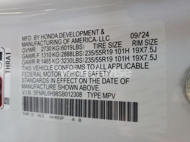 2025 HONDA ODYSSEY ELITE (VIN 5FNRL6H98SB012308) main photo