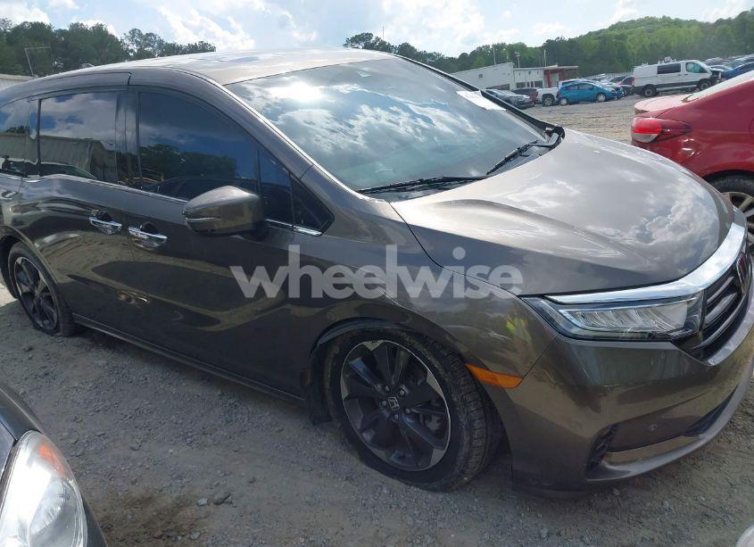 2022 Honda Odyssey ELITE (VIN 5FNRL6H9XNB042639) main photo