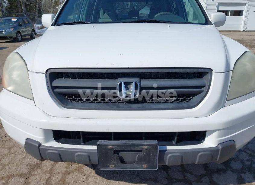 Photo 6 of 2005 Honda Pilot EX (VIN 5FNYF18405B062067)