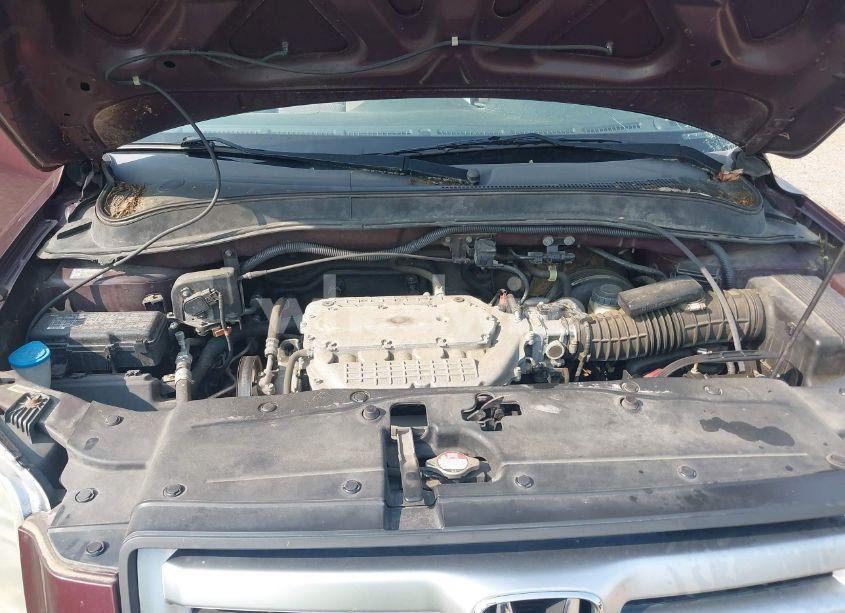 Photo 10 of 2007 Honda Pilot EX (VIN 5FNYF18447B024053)