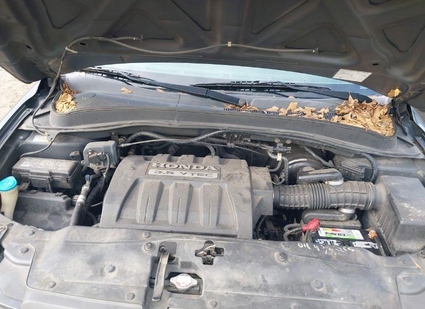 Photo 10 of 2005 Honda Pilot EX (VIN 5FNYF18455B010465)