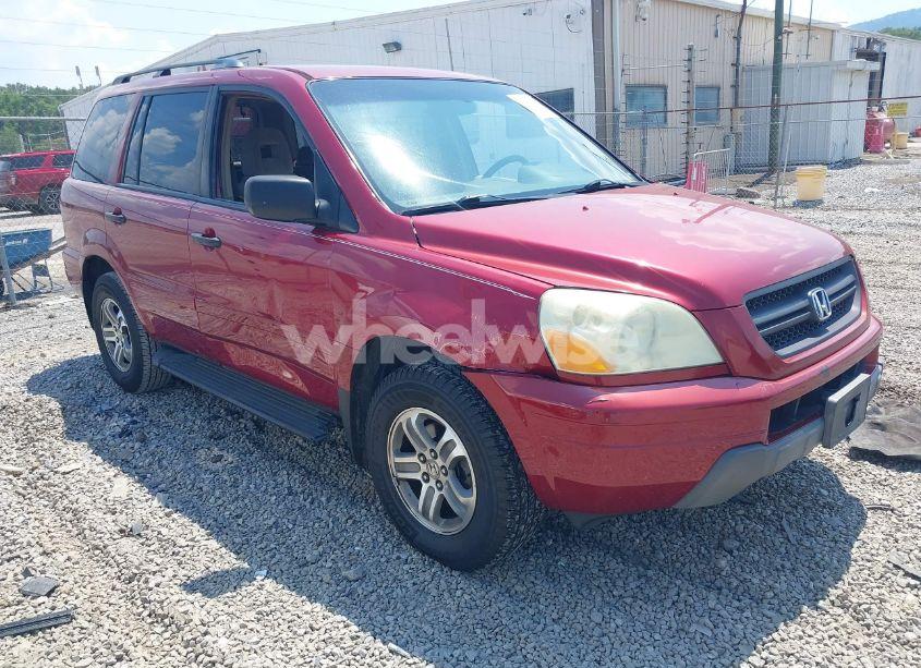 2005 Honda Pilot EX (VIN 5FNYF18455B010594) main photo