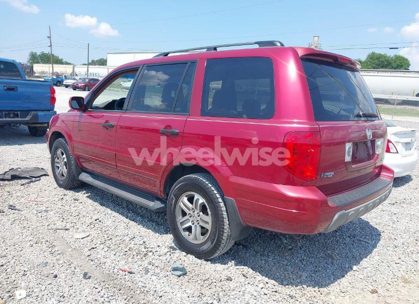 Photo 3 of 2005 Honda Pilot EX (VIN 5FNYF18455B010594)