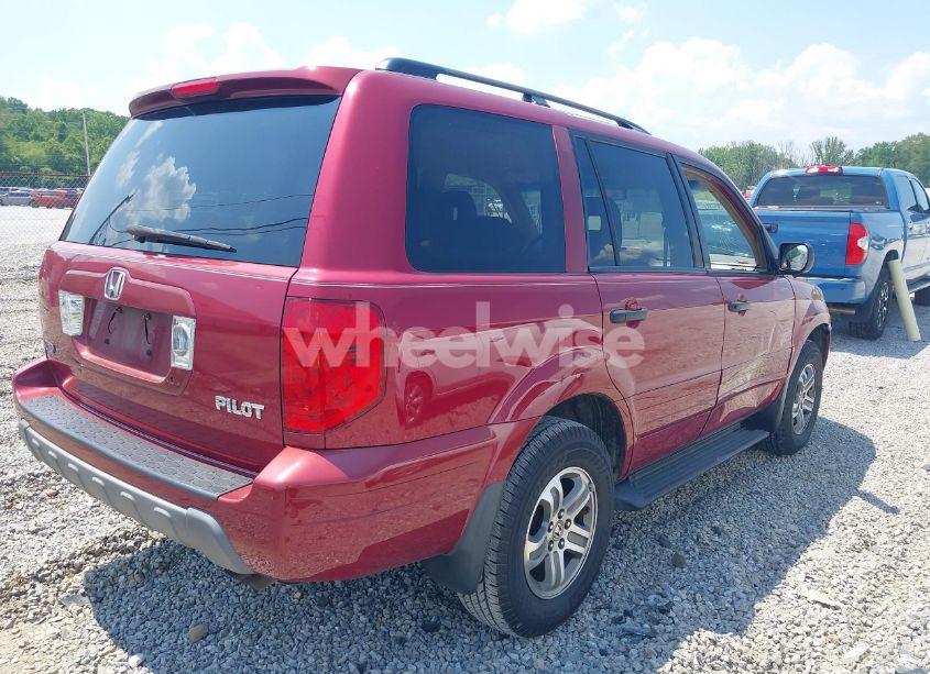 Photo 4 of 2005 Honda Pilot EX (VIN 5FNYF18455B010594)