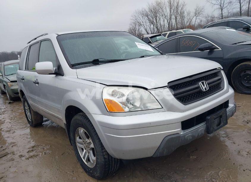 2005 Honda Pilot EX (VIN 5FNYF18455B055356) main photo