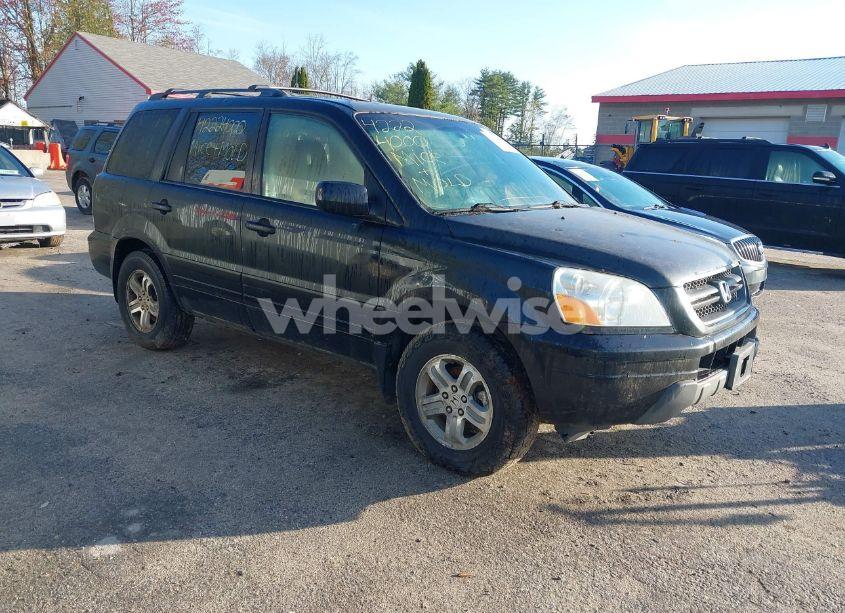 2004 Honda Pilot EX (VIN 5FNYF18484B001905) main photo