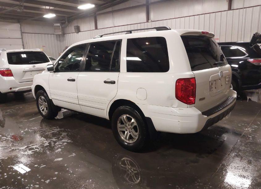 Photo 3 of 2005 Honda Pilot EX (VIN 5FNYF18495B062049)