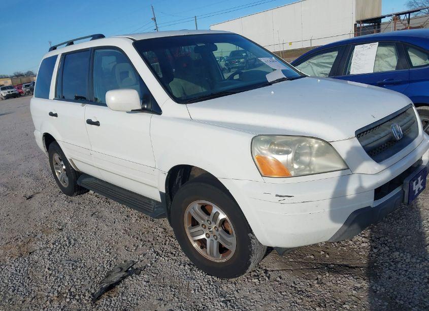 2005 Honda Pilot EX (VIN 5FNYF184X5B023972) main photo