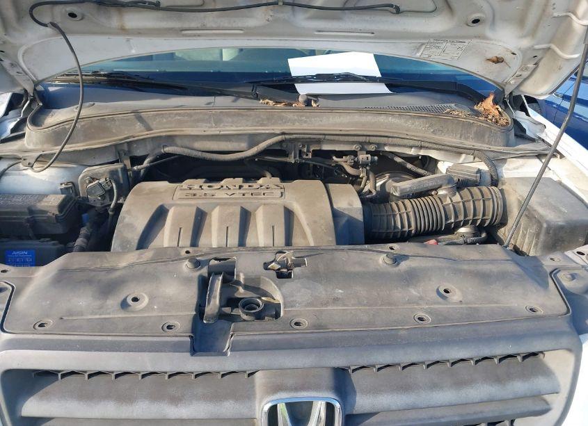 Photo 10 of 2005 Honda Pilot EX (VIN 5FNYF184X5B023972)