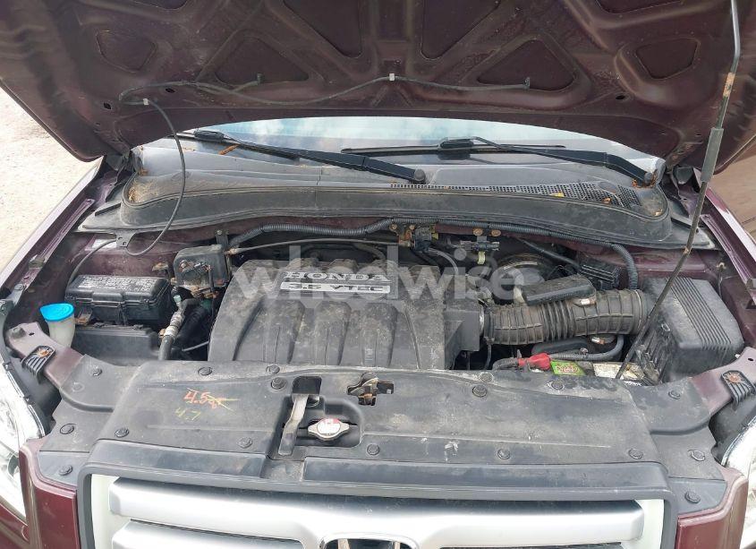 Photo 10 of 2007 Honda Pilot EX (VIN 5FNYF184X7B024025)