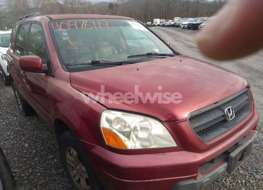 2004 Honda Pilot EX-L (VIN 5FNYF18504B009571) main photo