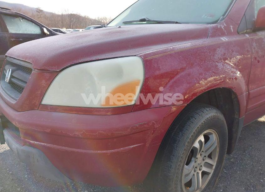 Photo 19 of 2004 Honda Pilot EX-L (VIN 5FNYF18504B009571)