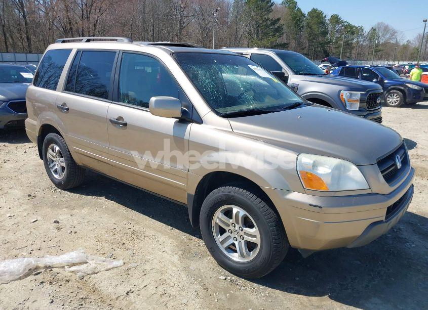 2005 Honda Pilot EX-L (VIN 5FNYF18505B011256) main photo