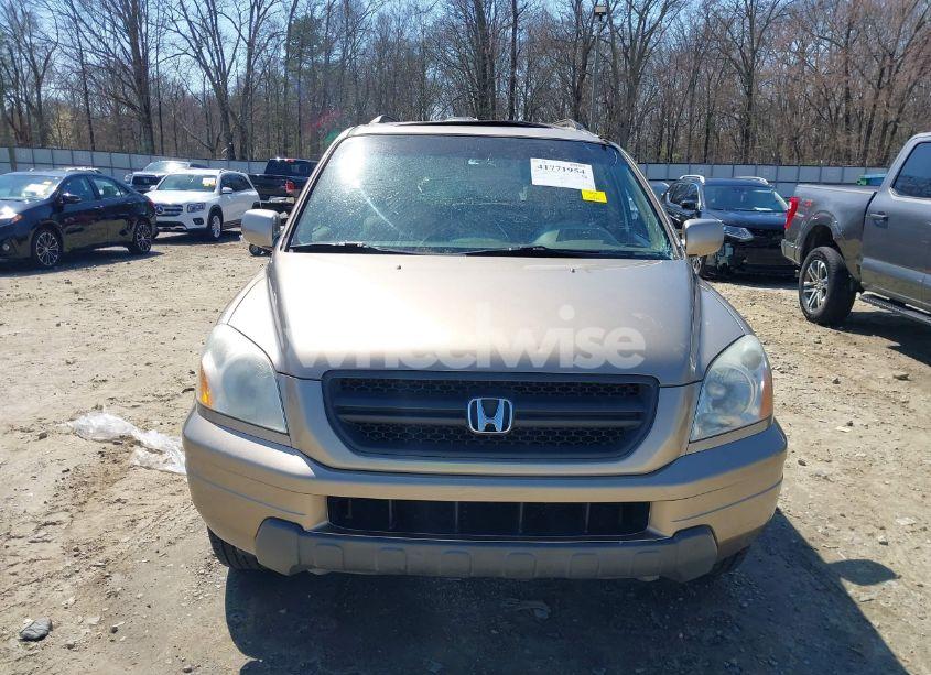 Photo 13 of 2005 Honda Pilot EX-L (VIN 5FNYF18505B011256)