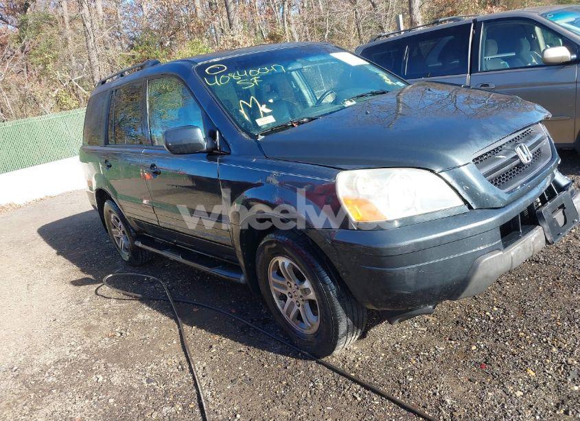 2005 Honda Pilot EX-L (VIN 5FNYF18505B039204) main photo