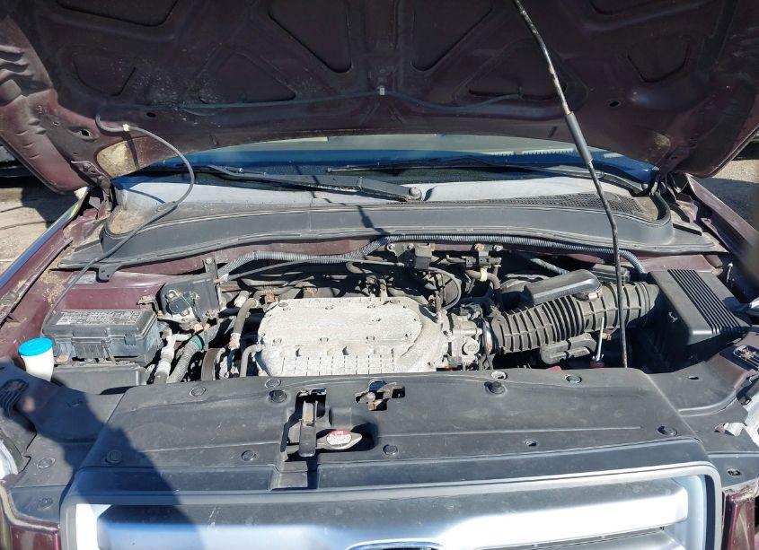 Photo 10 of 2008 Honda Pilot EX-L (VIN 5FNYF18508B018695)