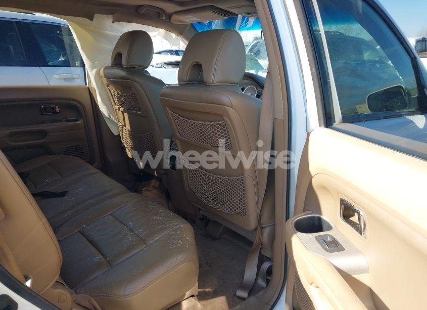 Photo 8 of 2008 Honda Pilot EX-L (VIN 5FNYF18508B047551)