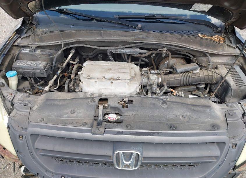 Photo 10 of 2004 Honda Pilot EX-L (VIN 5FNYF18514B001334)