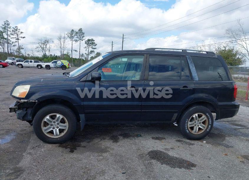 Photo 14 of 2004 Honda Pilot EX-L (VIN 5FNYF18514B001334)