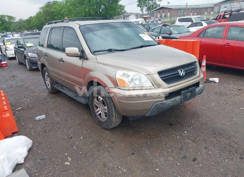 2005 Honda Pilot EX-L (VIN 5FNYF18515B019382) main photo