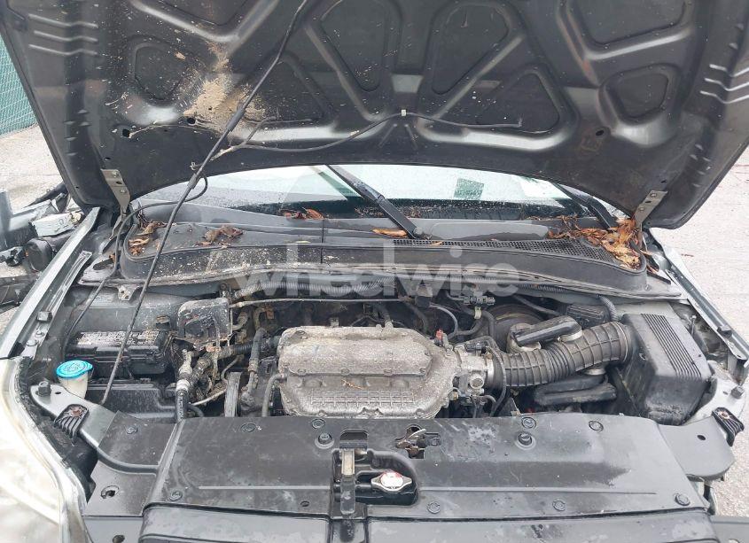 Photo 10 of 2007 Honda Pilot EX-L (VIN 5FNYF18517B005937)