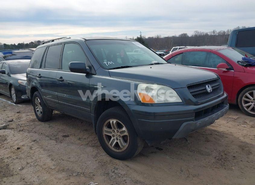 2005 Honda Pilot EX-L (VIN 5FNYF18525B004597) main photo