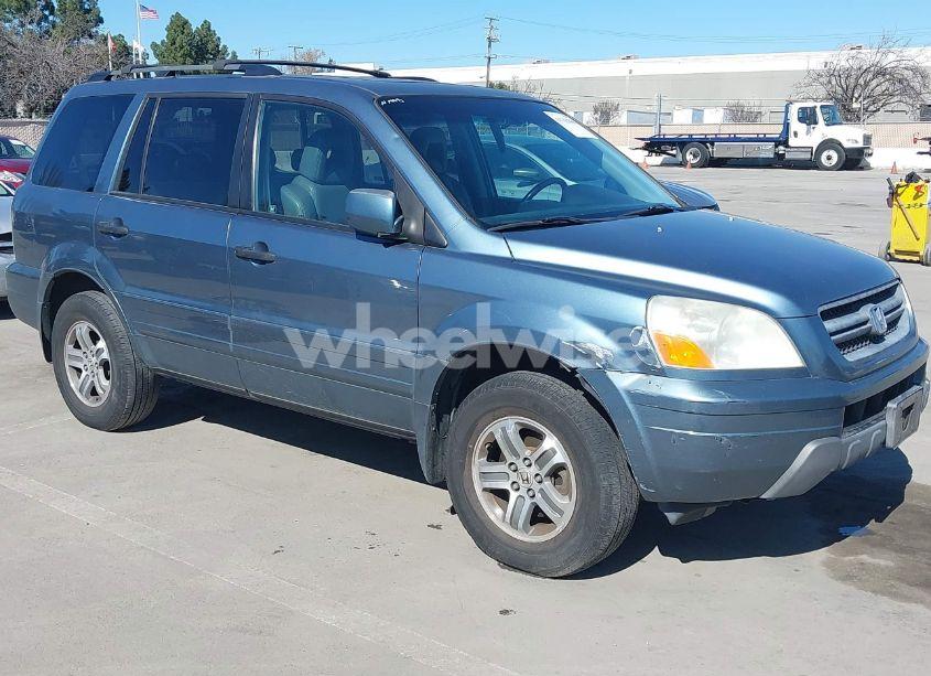 2005 Honda Pilot EX-L (VIN 5FNYF18525B036661) main photo