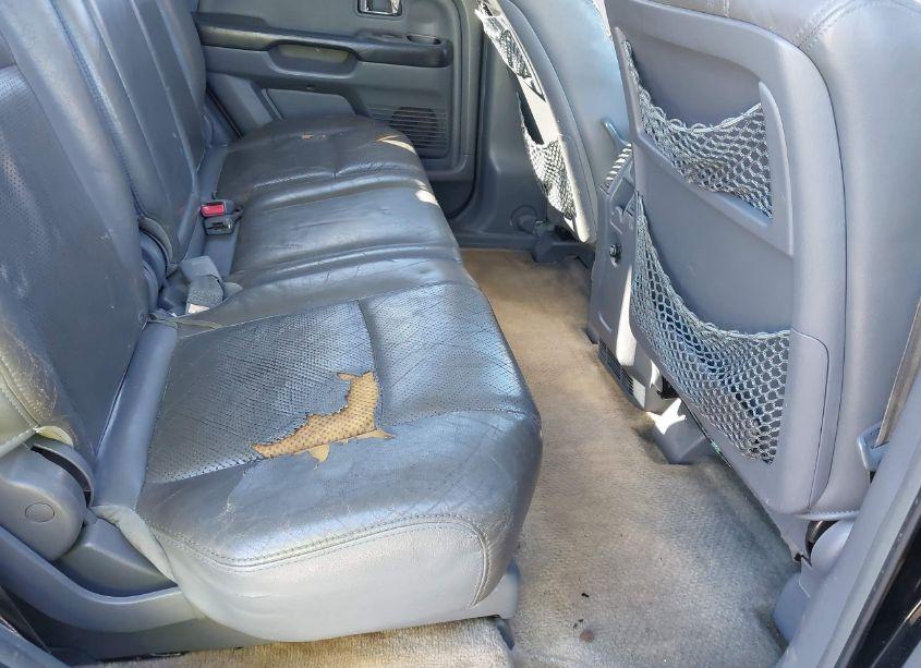 Photo 8 of 2005 Honda Pilot EX-L (VIN 5FNYF18525B051600)