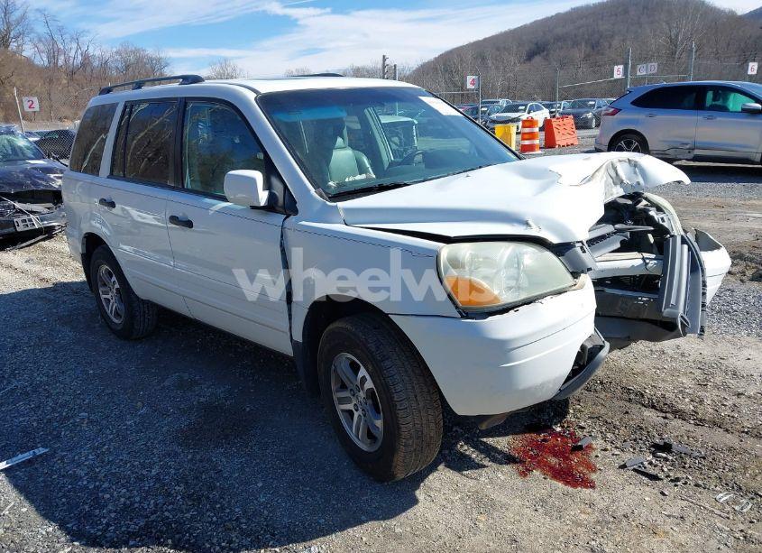 2005 Honda Pilot EX-L (VIN 5FNYF18525B064587) main photo