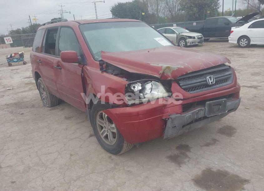 2005 Honda Pilot EX-L (VIN 5FNYF18535B026656) main photo