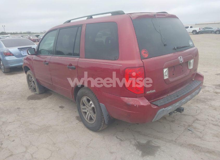 Photo 3 of 2005 Honda Pilot EX-L (VIN 5FNYF18535B026656)