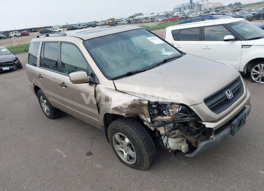 2005 Honda Pilot EX-L (VIN 5FNYF18535B053825) main photo