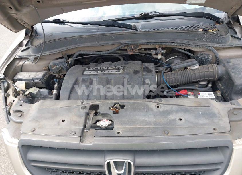 Photo 10 of 2005 Honda Pilot EX-L (VIN 5FNYF18535B053825)