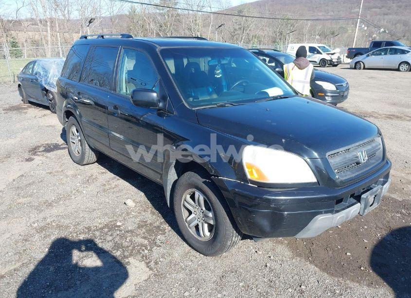2005 Honda Pilot EX-L (VIN 5FNYF18535B054313) main photo