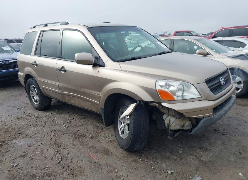2005 Honda Pilot EX-L (VIN 5FNYF18535B059799) main photo