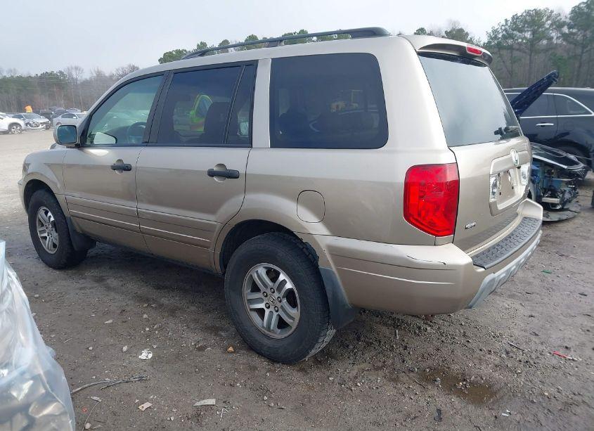 Photo 3 of 2005 Honda Pilot EX-L (VIN 5FNYF18535B059799)