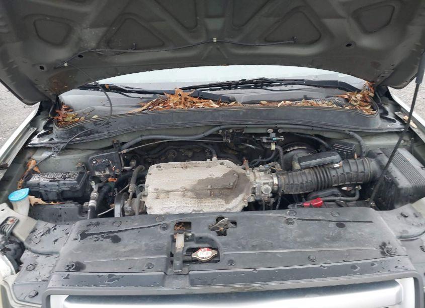 Photo 10 of 2008 Honda Pilot EX-L (VIN 5FNYF18538B020439)