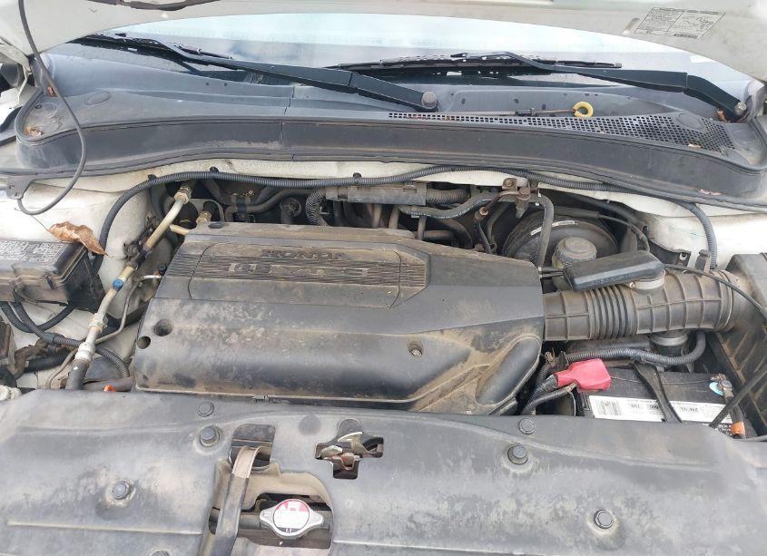 Photo 10 of 2004 Honda Pilot EX-L (VIN 5FNYF18544B004938)