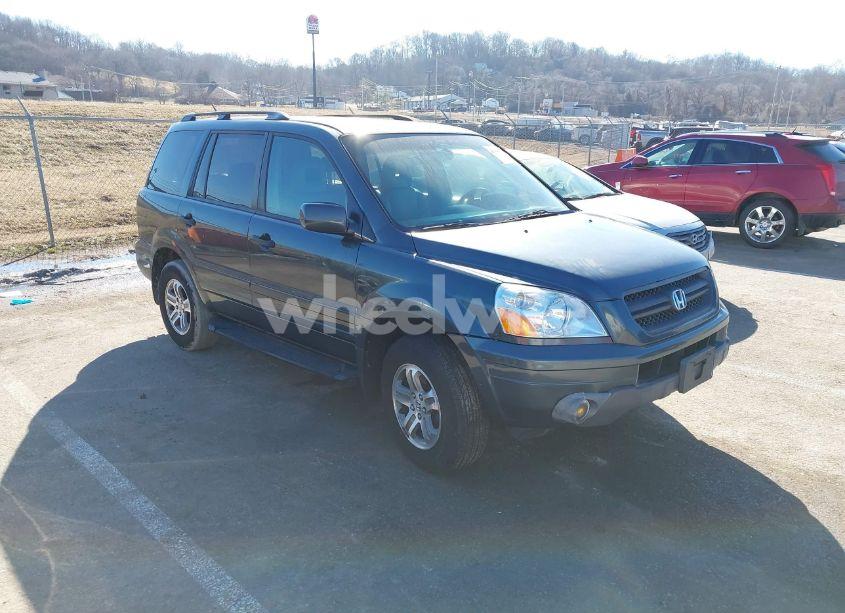 2005 Honda Pilot EX-L (VIN 5FNYF18545B026861) main photo