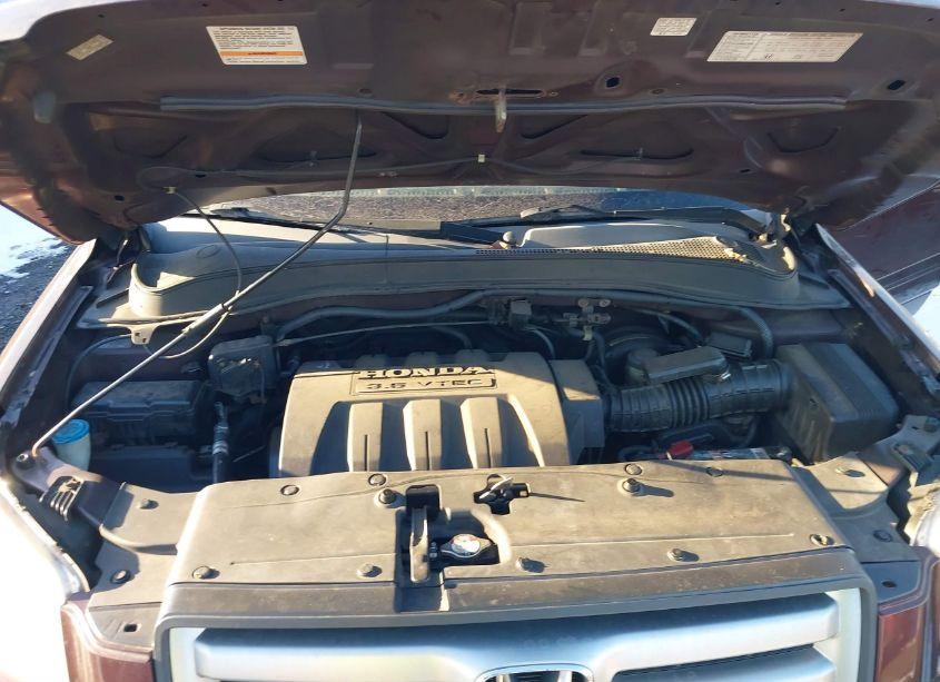 Photo 10 of 2008 Honda Pilot EX-L (VIN 5FNYF18548B027383)