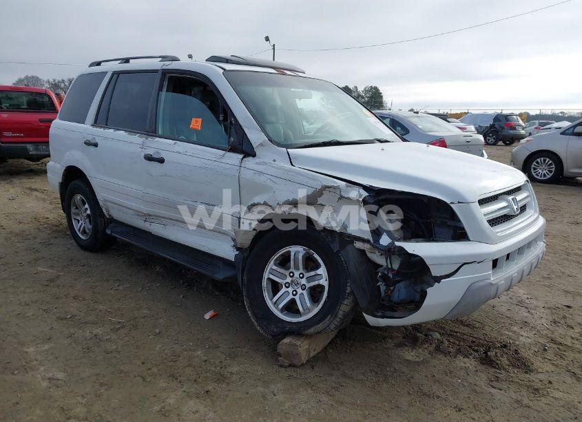 2005 Honda Pilot EX-L (VIN 5FNYF18555B020678) main photo